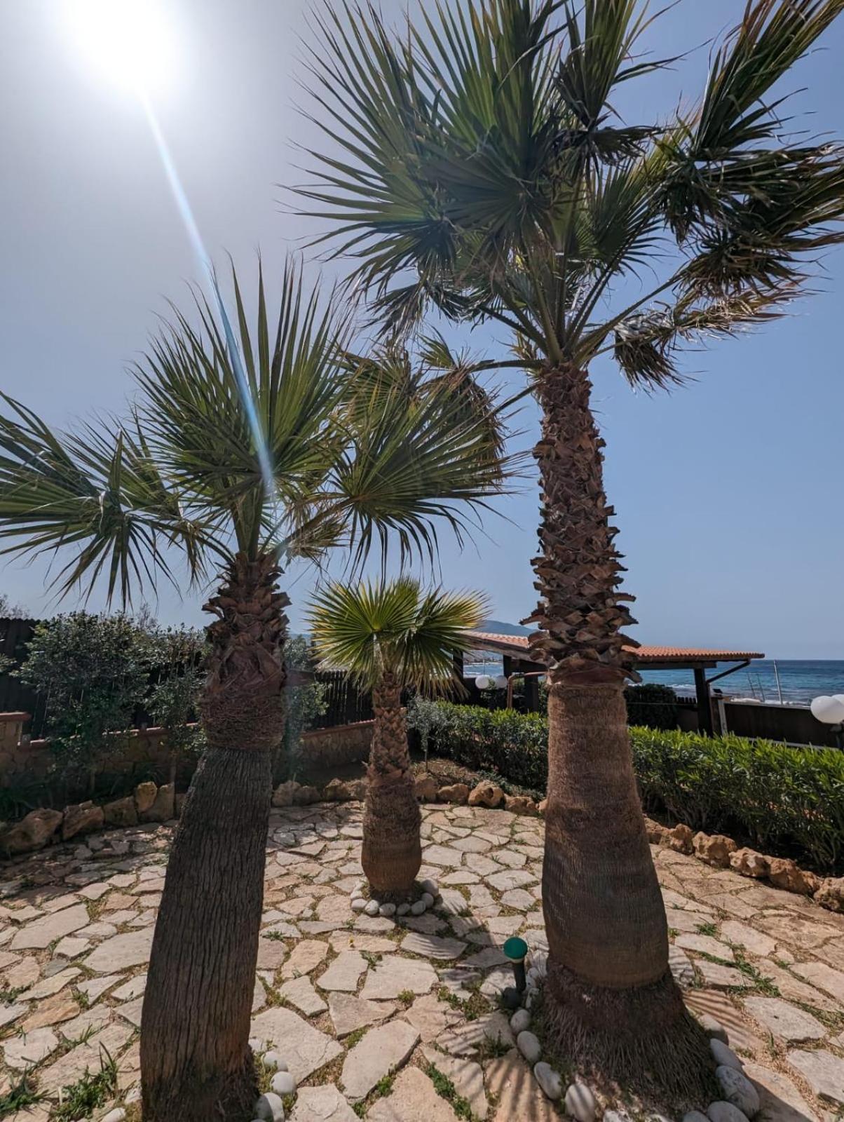 Villa Baia Di Cornino Custonaci Zewnętrze zdjęcie