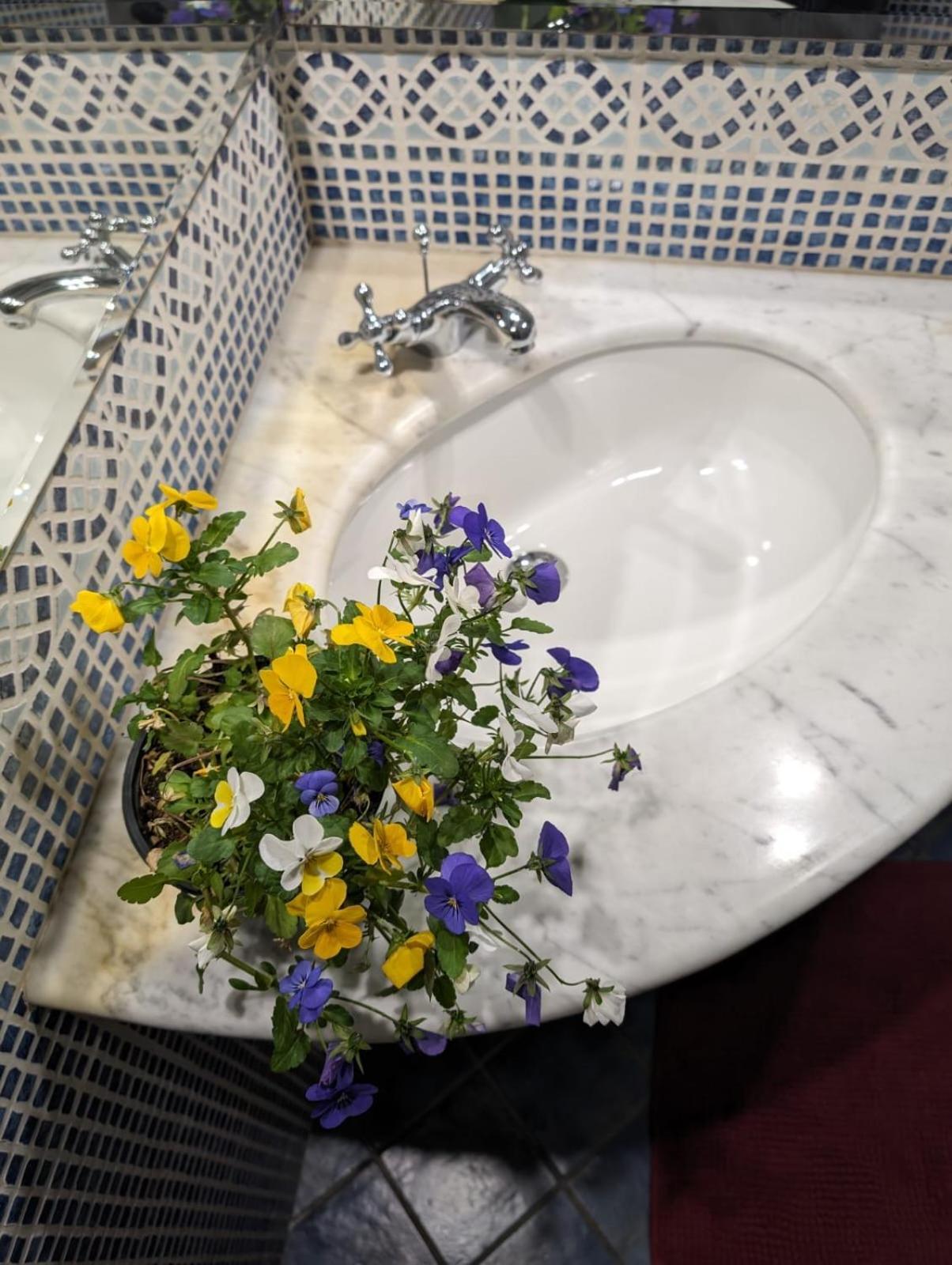 Villa Baia Di Cornino Custonaci Zewnętrze zdjęcie